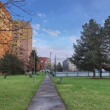 Elegant Escape Apartment III - Free Parking, Easy Access To City Center Pressburg Exterior foto