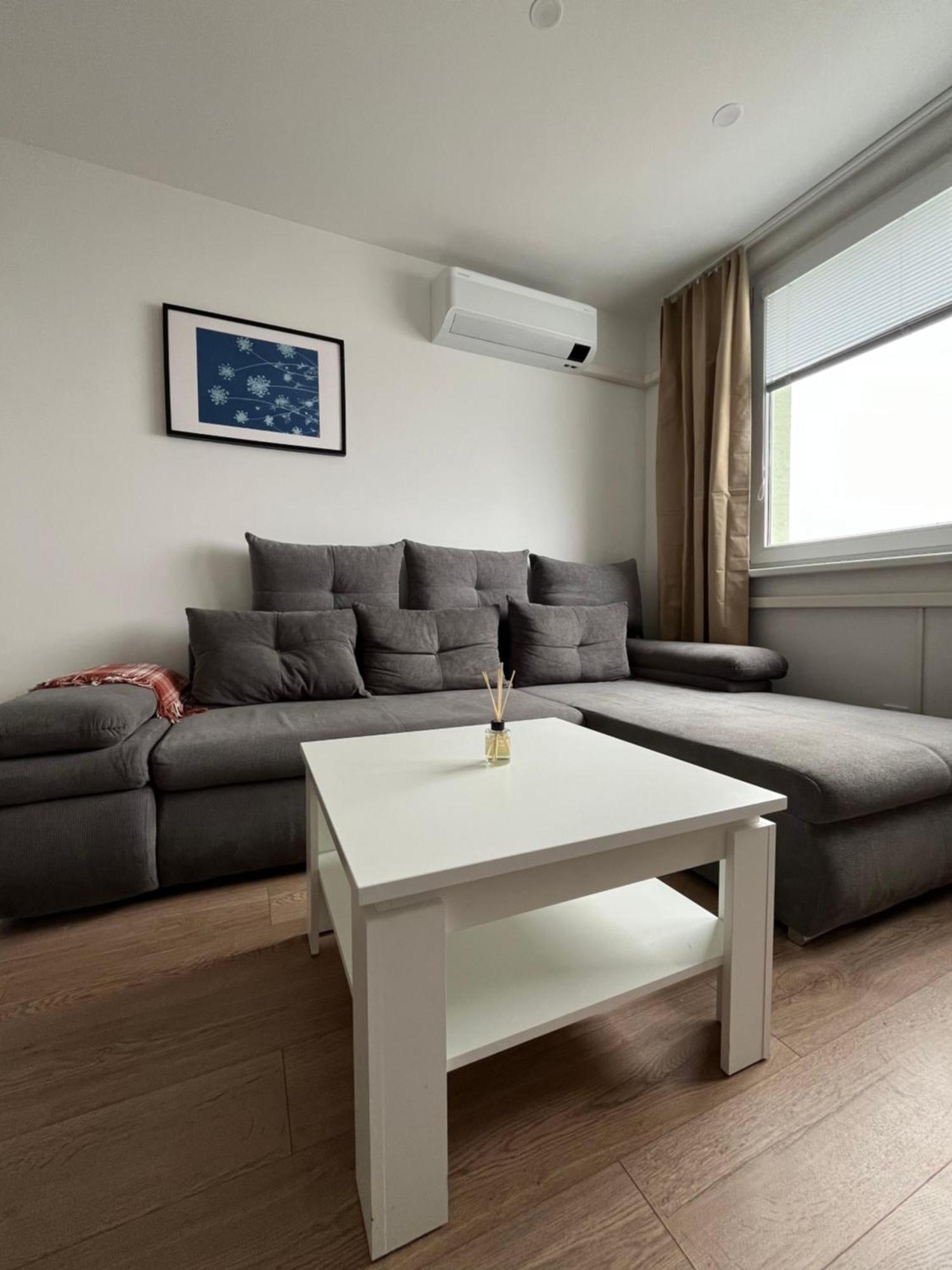 Elegant Escape Apartment III - Free Parking, Easy Access To City Center Pressburg Exterior foto